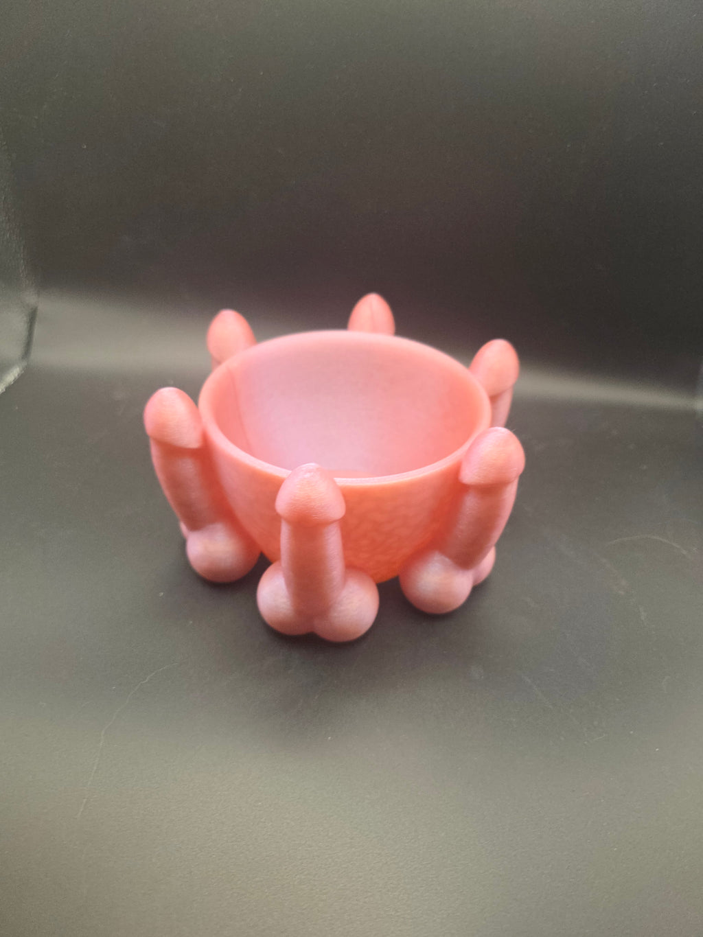 Bowl of Dicks Planter