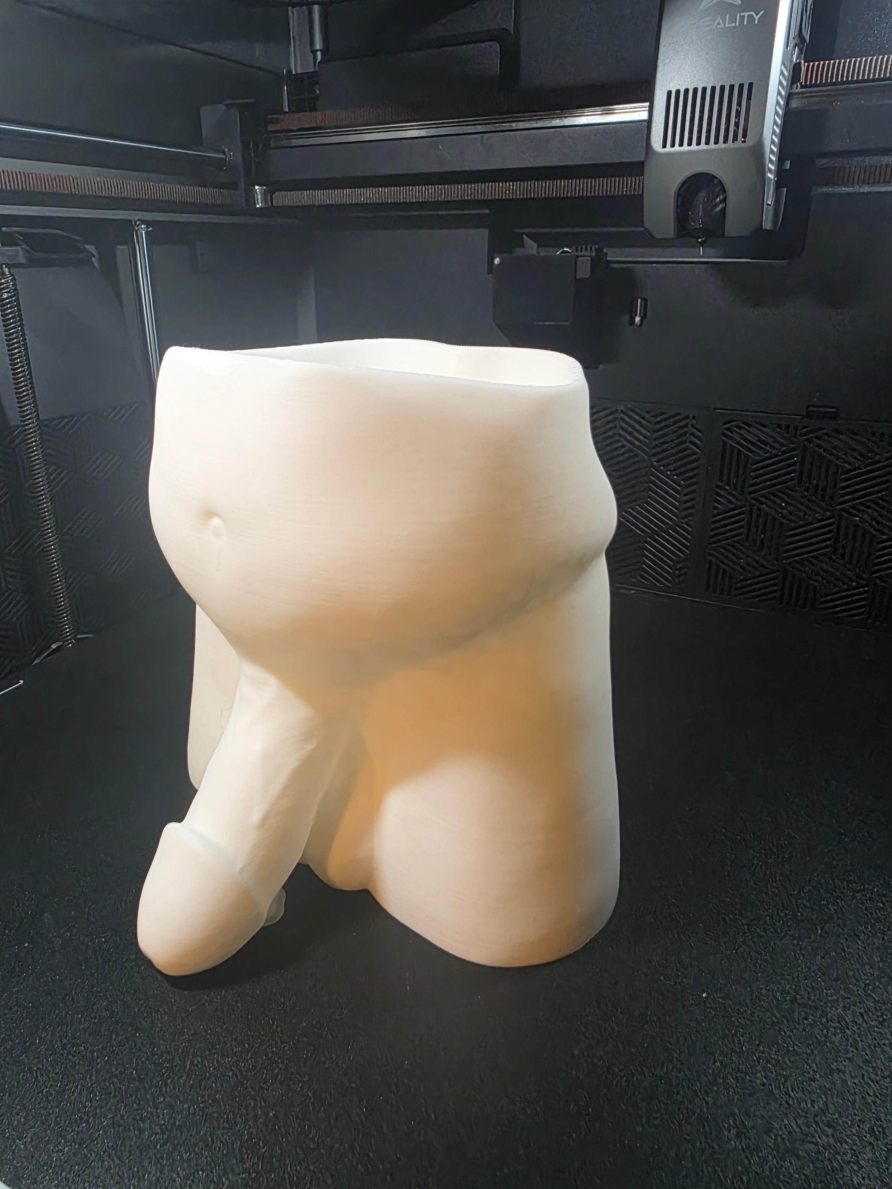 Dad Bod-Monster Dong Planter
