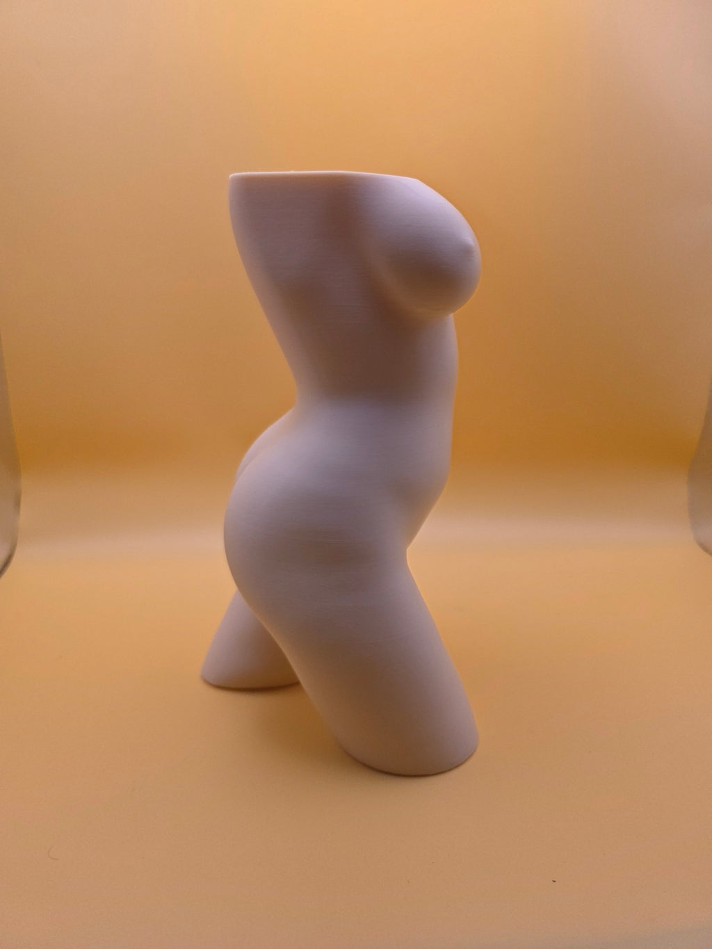 The Confident Curves Planter