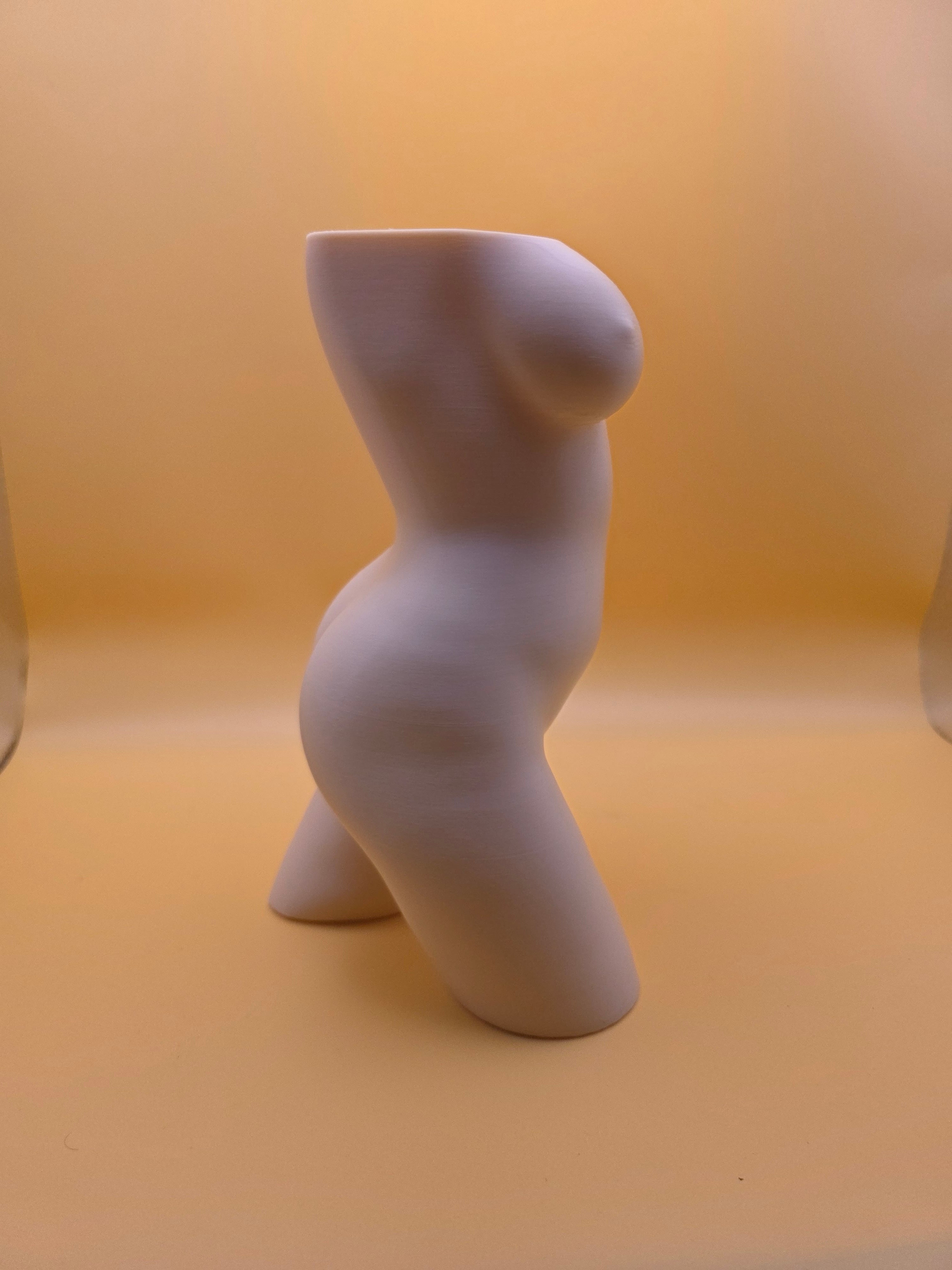 The Confident Curves Planter