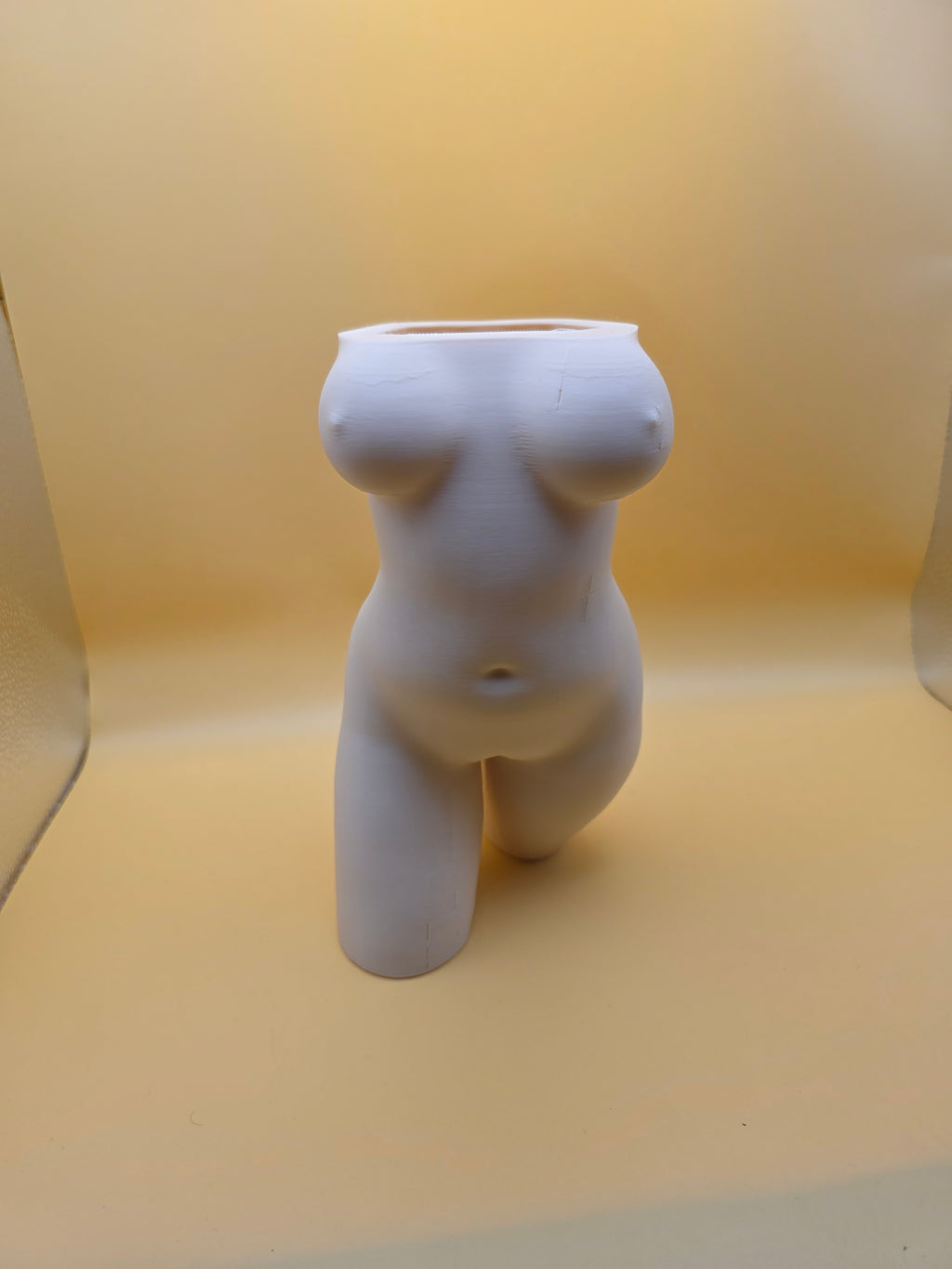 The Confident Curves Planter