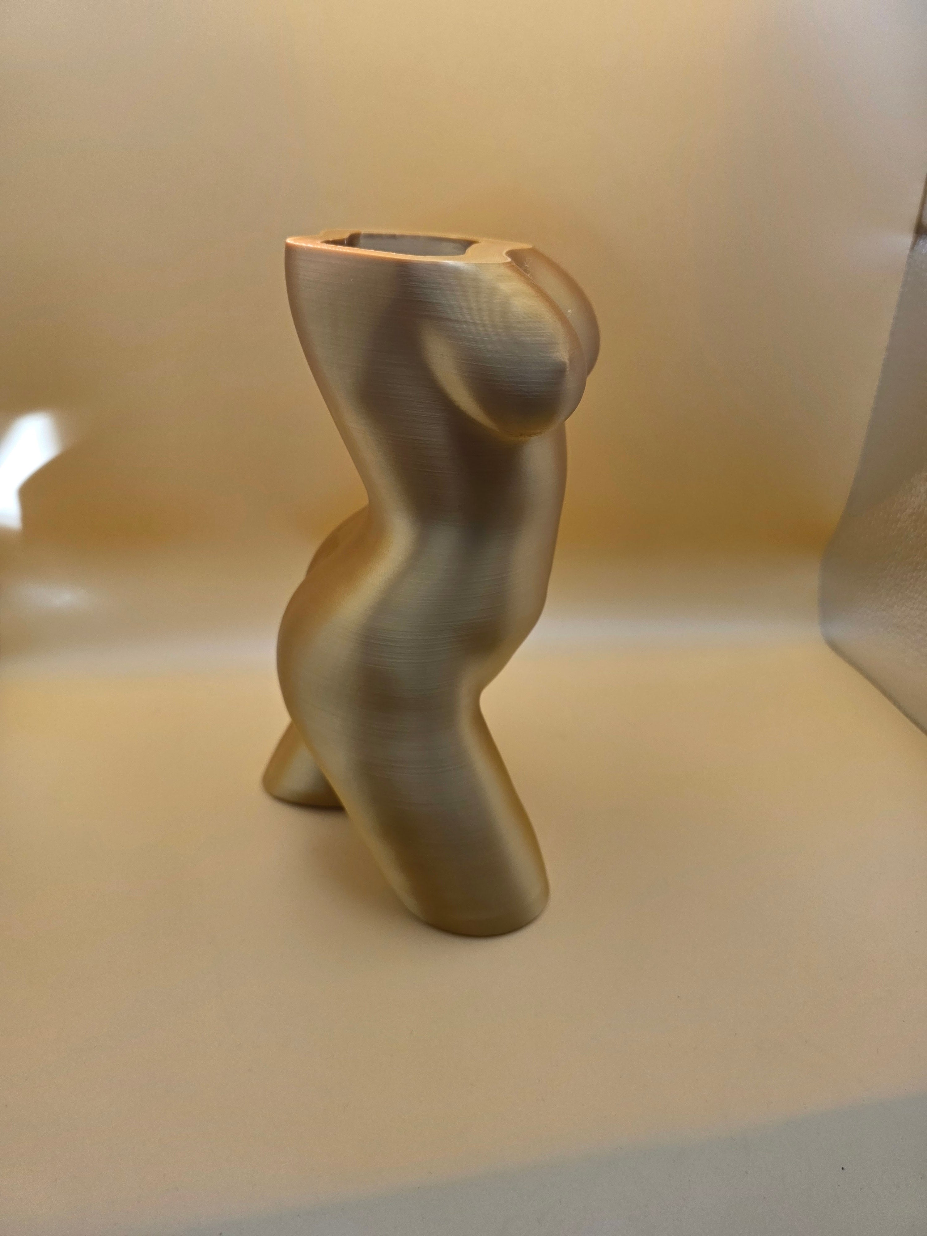 The Confident Curves Planter
