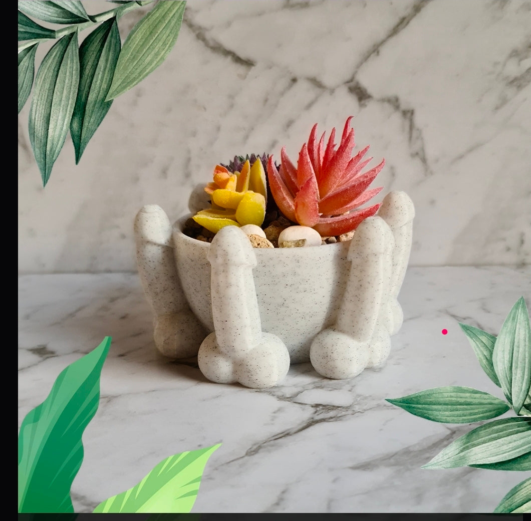 Bowl of Dicks Planter