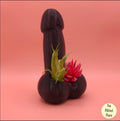The General-Standing at attention planter