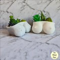The Modern Muse Planter