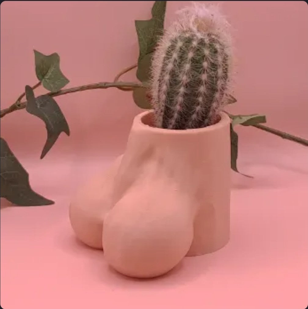 The Full Bloom Planter