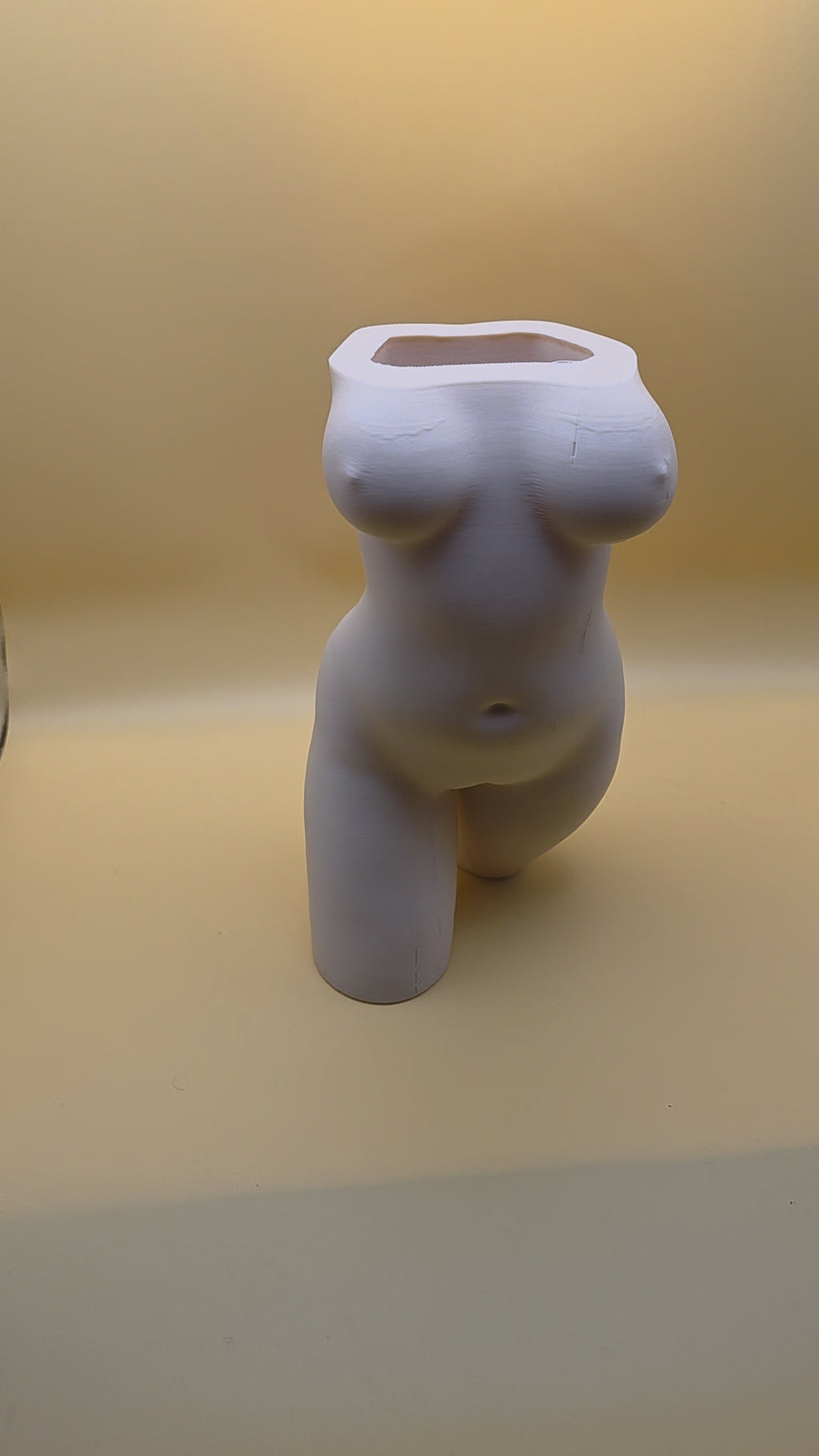 The Confident Curves Planter